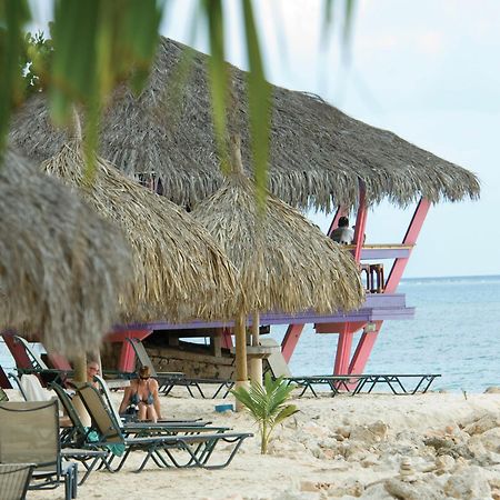 Divi Dutch Village Beach Resort パームビーチ エクステリア 写真