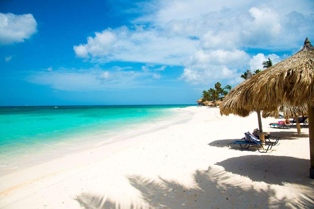 Divi Dutch Village Beach Resort パームビーチ 自然 写真