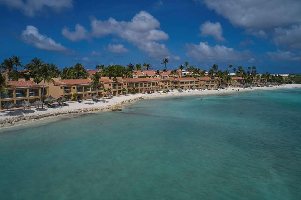 Divi Dutch Village Beach Resort パームビーチ 自然 写真